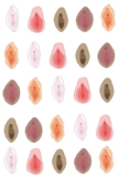 Vulva notebook