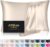 Silk Pillowcase for Hair and Skin, Mulberry Silk Pillow Cases Standard Size Anti Acne Cooling Beauty Sleep Both Sides Natural Silk Satin Pillow Covers with Hidden Zipper, Gifts for Women Men, Beige