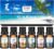 Summer Essential Oils for Diffusers for Home, CAKKI Fragrance Oils Set, Long Lasting, 6X10ml with Coconut, Pina Colada, Aqua Kiss, Bali Island, Strawberry, Aromatherapy Oils, for Candles Making, Gifts
