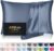 Silk Pillowcase for Hair and Skin, Mulberry Silk Pillow Cases Queen Size, Soft Anti Acne Cooling Sleep Both Sides Natural Silk Satin Pillowcases with Hidden Zipper, Gifts for Women Men, Ash Blue