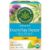 Traditional Medicinals Tea, Organic Everyday Detox Lemon, Supports Healthy Skin & Liver Function, Detox, 16 Tea Bags