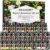 Essential Oils Set – 32x5ml Pure Aromatherapy Essential Oils Kit for Diffuser, Humidifier, Aromatherapy, Massage, Skin & Hair Care – Lavender, Tea Tree, Eucalyptus, Sandalwood, Peppermint, Rosemary