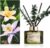 Airkeep Reed Diffuser Set with 6.76 fl oz Cashmere Vanilla Scent Essential Oils and 3 Leaves & 8 Diffuser Sticks,Bathroom Shelf Decor & Air Freshener, House Bedroom Office Decor & Gifts